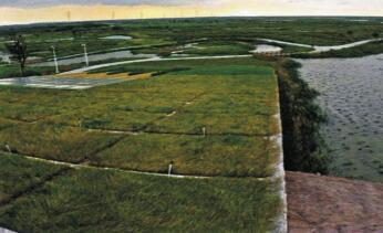 人工湿地按水类型可分ؓ(f)4c?/>
							</a>
							<h4><a href=